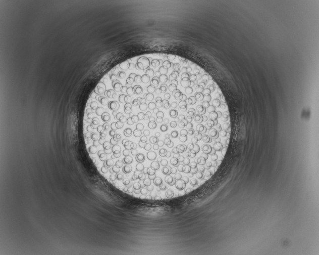 X0000116300646201001111118