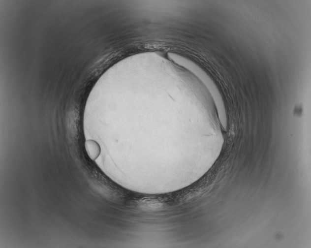 X0000116300648201001111118