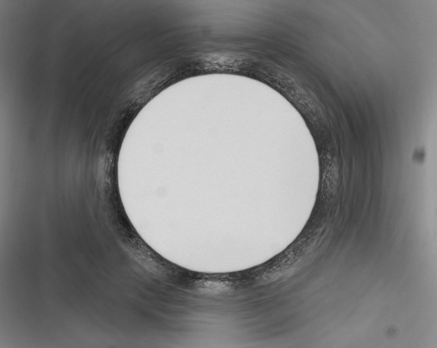 X0000116300649201001111118