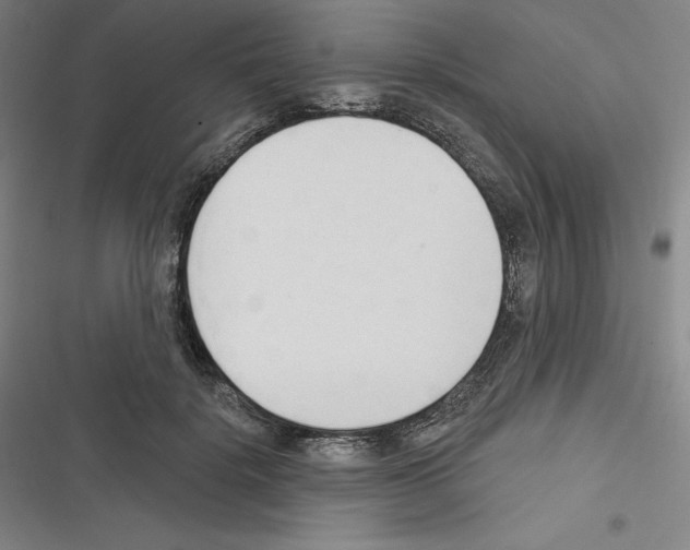 X0000116300652201001111118