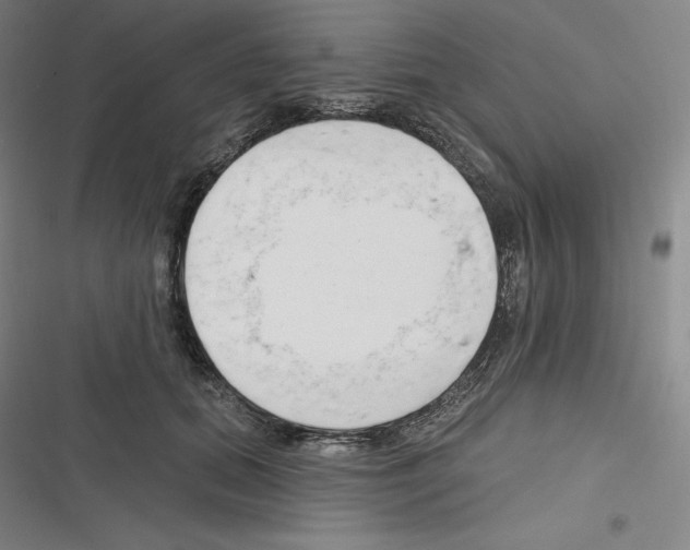 X0000116300655201001111118