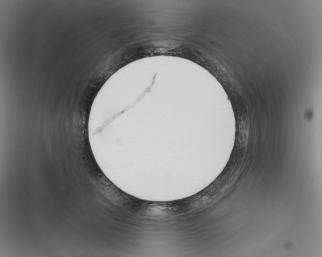 X0000116300657201001111118