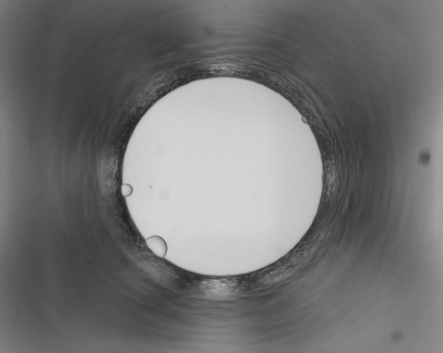 X0000116300660201001111118