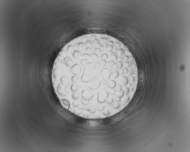 X0000116300662201001111118