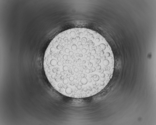 X0000116300666201001111118