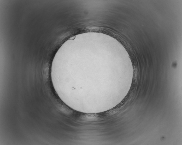 X0000116300668201001111118