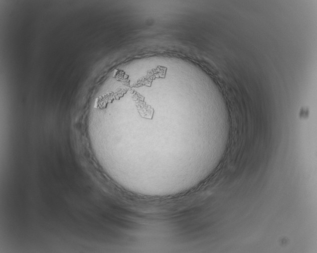 X0000116300672201001111119