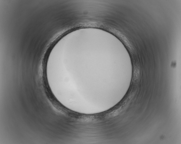 X0000116300674201001111118