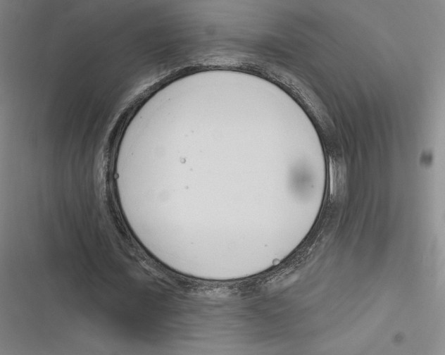 X0000116300675201001111118