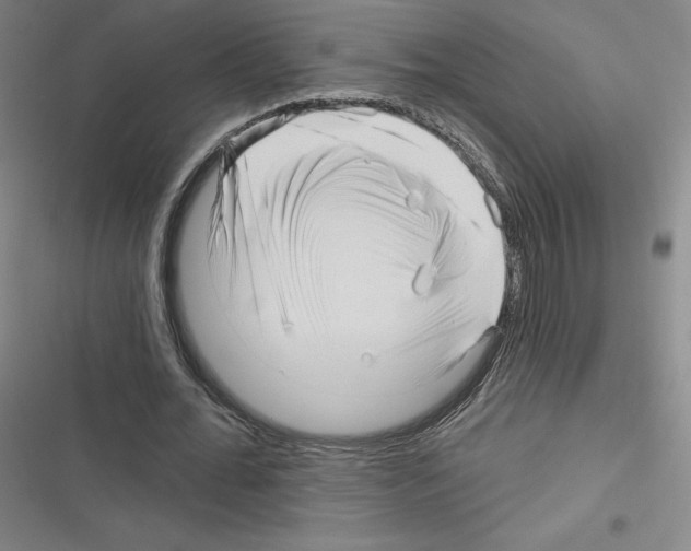 X0000116300676201001111118