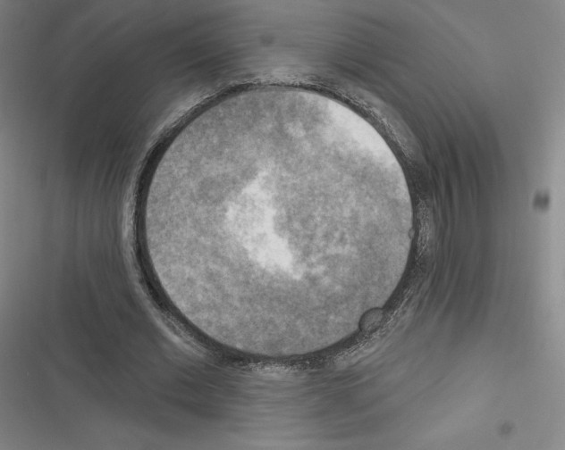 X0000116300677201001111118