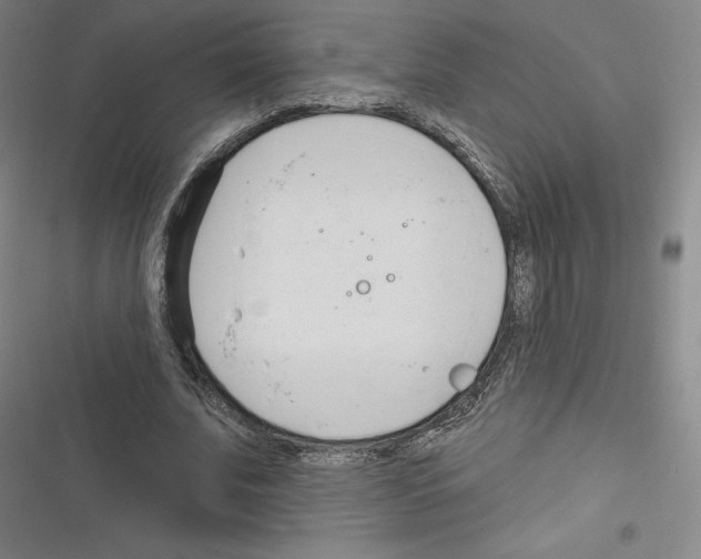 X0000116300679201001111118