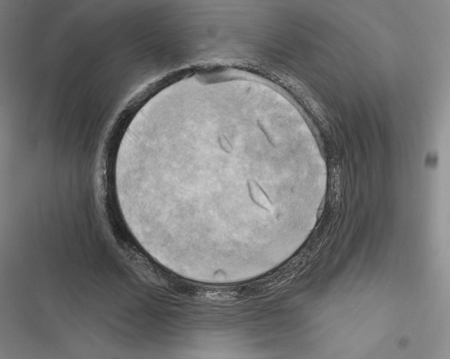 X0000116300680201001111118