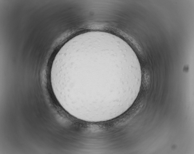 X0000116300682201001111118