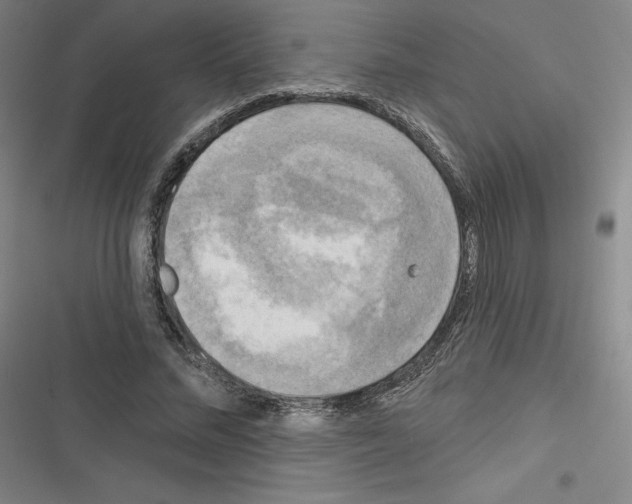 X0000116300684201001111118