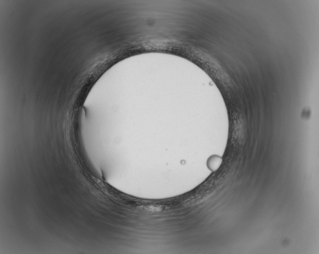 X0000116300687201001111118