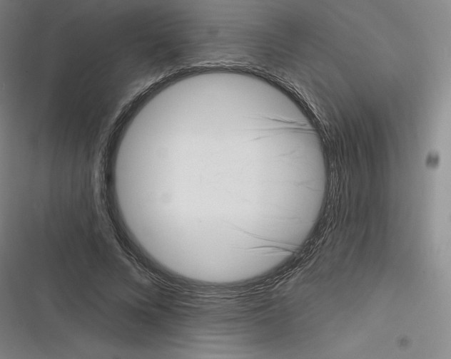 X0000116300688201001111118