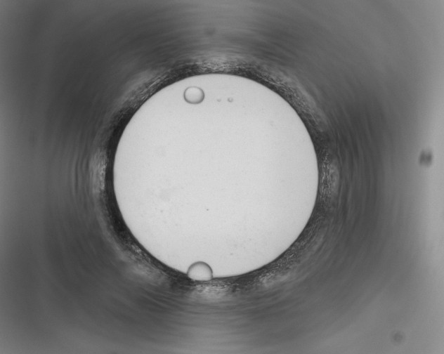 X0000116300694201001111118