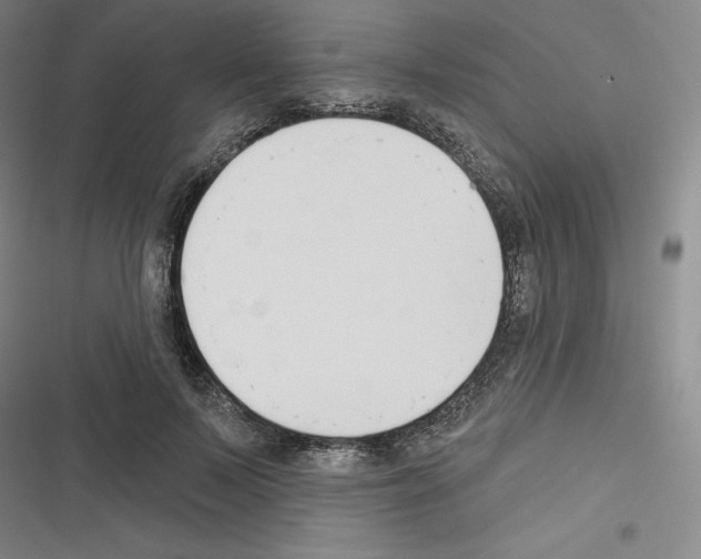 X0000116300695201001111118