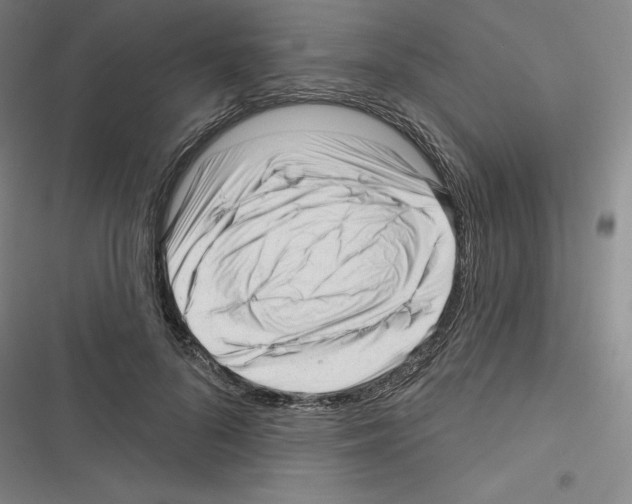 X0000116300696201001111118