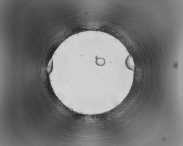 X0000116300697201001111118