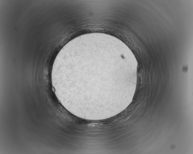 X0000116300700201001111117