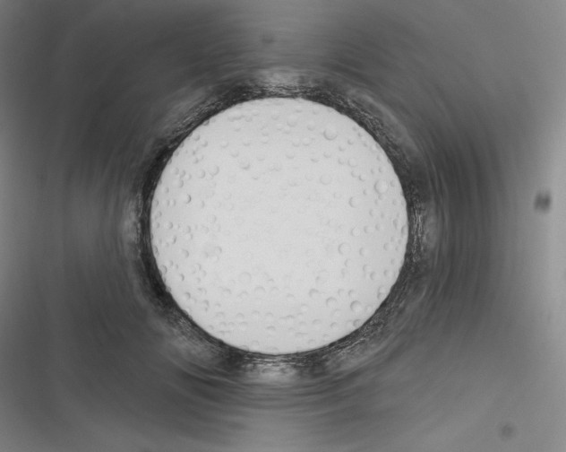 X0000116300702201001111117