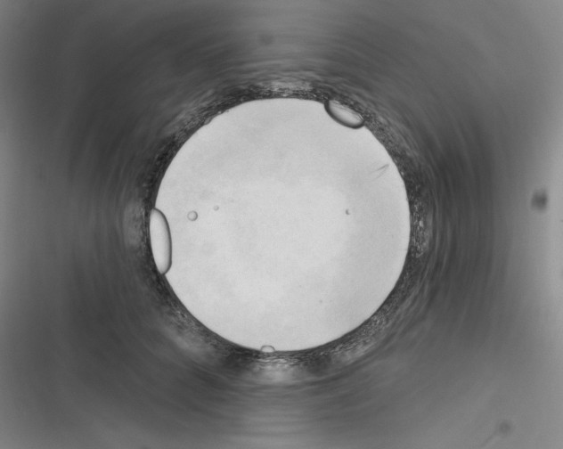 X0000116300704201001111117