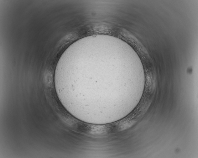 X0000116300705201001111117