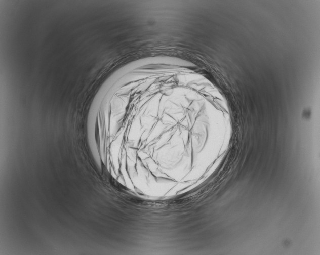 X0000116300709201001111117