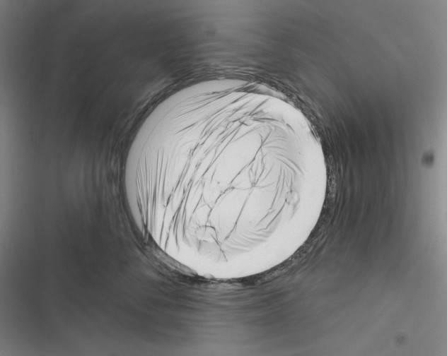 X0000116300716201001111117