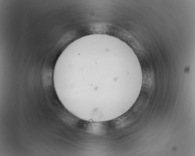 X0000116300717201001111117