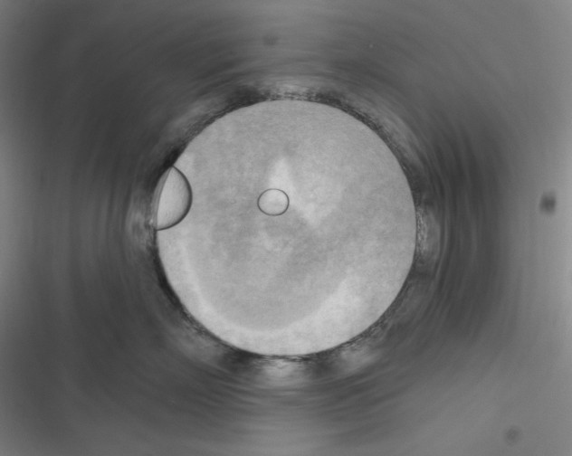 X0000116300718201001111117