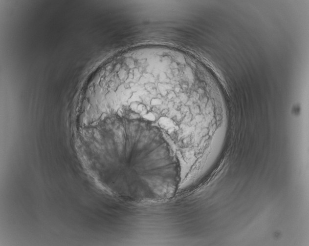 X0000116300721201001111117