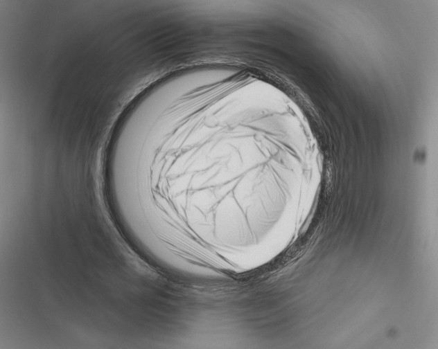 X0000116300725201001111117