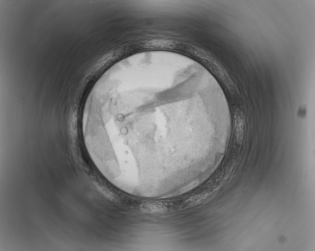 X0000116300729201001111117