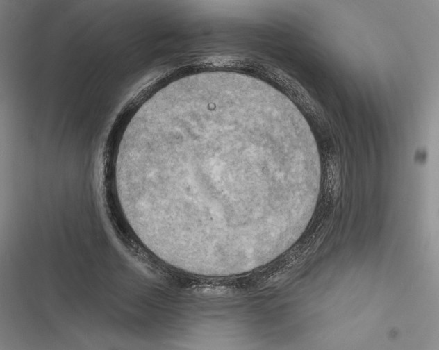 X0000116300730201001111117