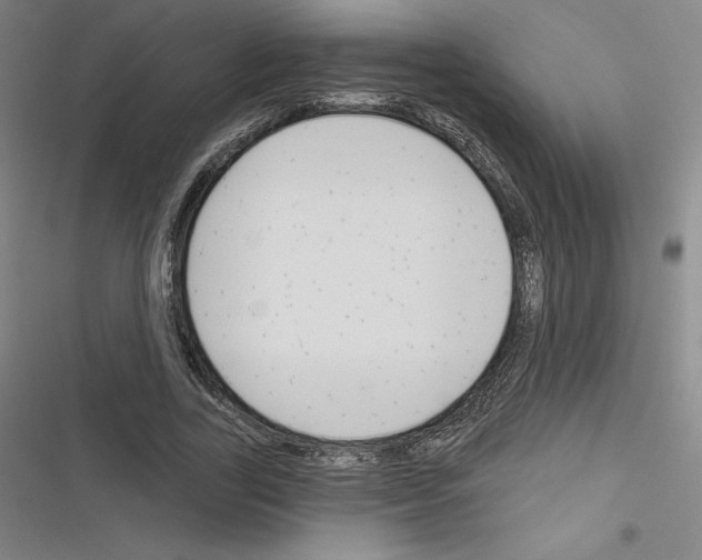 X0000116300731201001111117