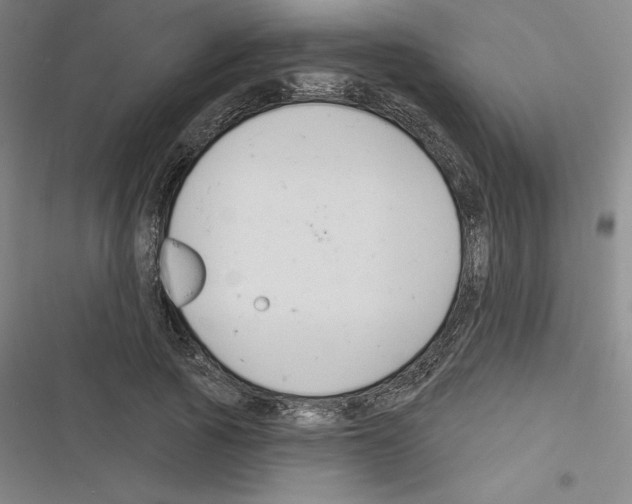 X0000116300737201001111117