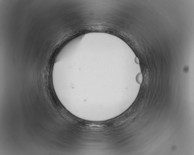 X0000116300739201001111117