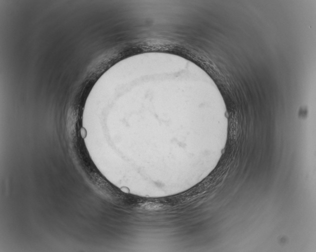 X0000116300742201001111117