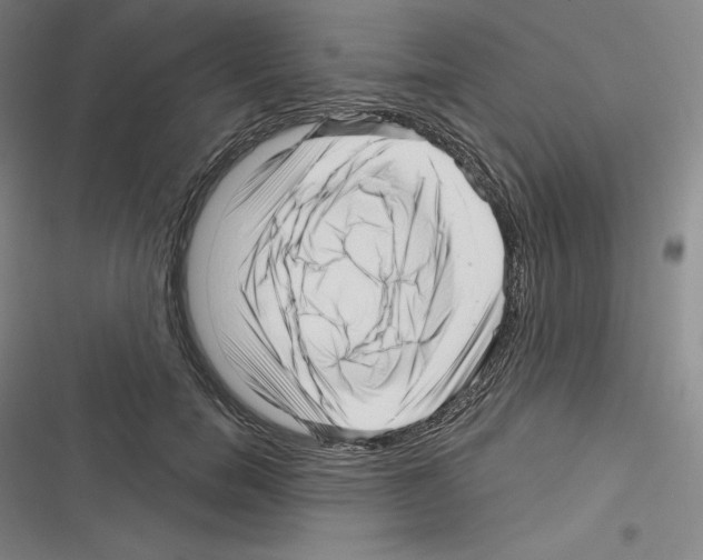 X0000116300750201001111117