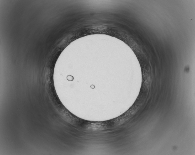 X0000116300758201001111117