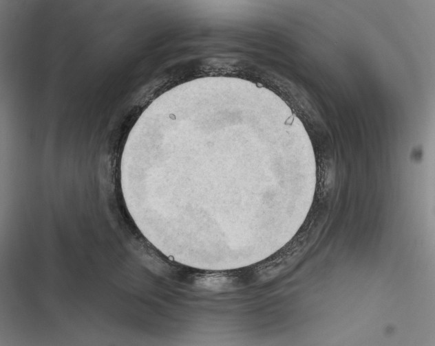 X0000116300759201001111117