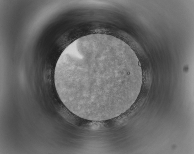 X0000116300762201001111117