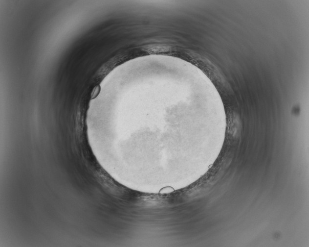 X0000116300763201001111117