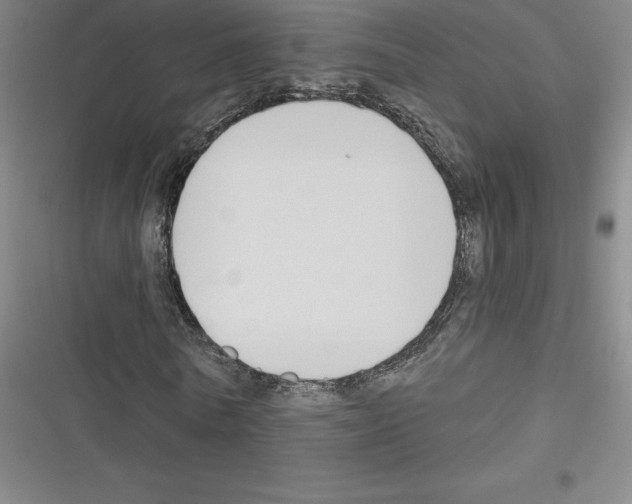 X0000116300770201001111117