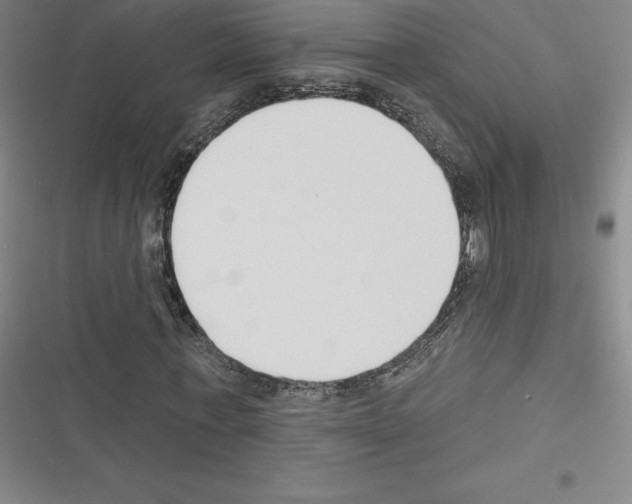 X0000116300771201001111117