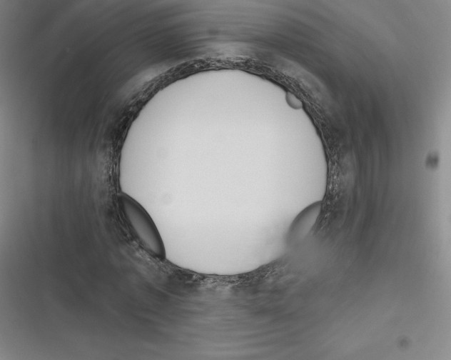 X0000116300773201001111116