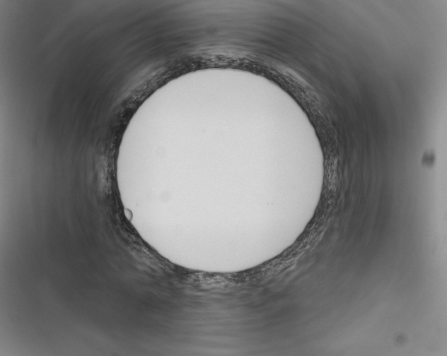 X0000116300774201001111116